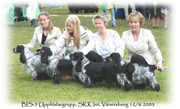 BIS-5 Uppfdargrupp, SKK Int. Vnersborg 12/6 2005