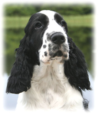 foto: Anna Johansson