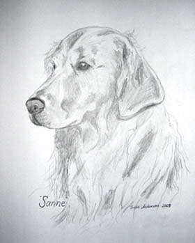 Sanne, golden retriver 2003